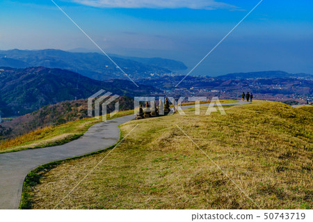 [靜岡縣]伊豆高原的性質 50743719