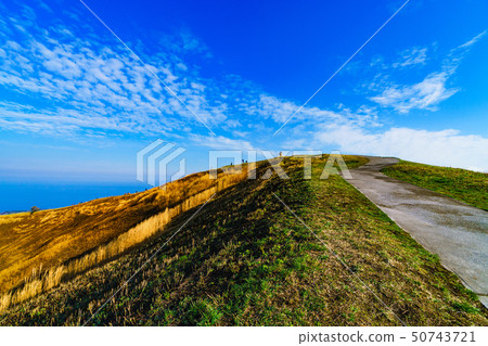 [靜岡縣]伊豆高原的性質 50743721