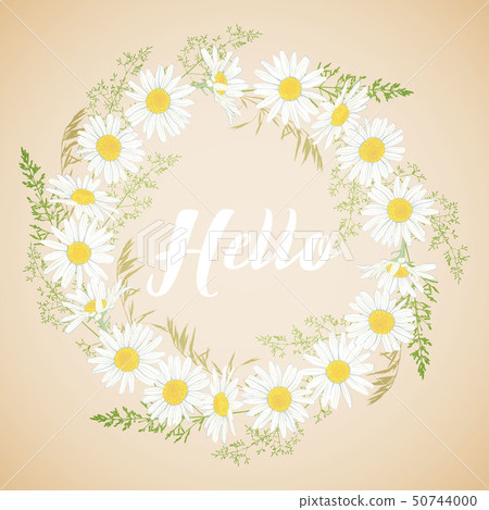 Cute card with Chamomile flowers wreath. 50744000