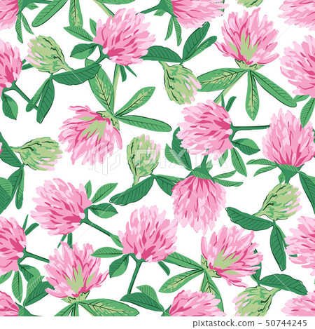 Floral seamless pattern with red clover. 50744245
