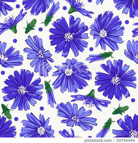 Floral seamless pattern with chicory. 50744449