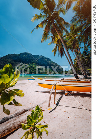 Banca boats under palm trees on sandy beach in Corong corong, El Nido, Palawan, Philippines 50745436