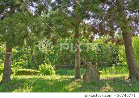 [Gwashobo Tumulus] 3 Mozu Yuuncho, Sakai-ku, Sakai City, Osaka Prefecture 50746771