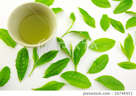 新茶和茶葉 50746951