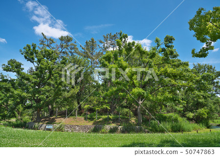 [Tatsusa Mountain Tumulus] Daisenchu Town, Sakai Ward, Sakai City, Osaka Prefecture 50747863