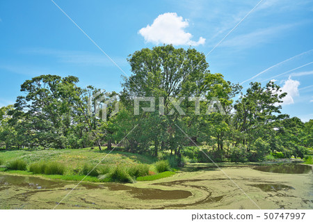 [Songtaoyama old burial mound] Osaka prefecture Sakai-shi Sakai-ku, Hakushin-cho, Yukuncho 2 50747997