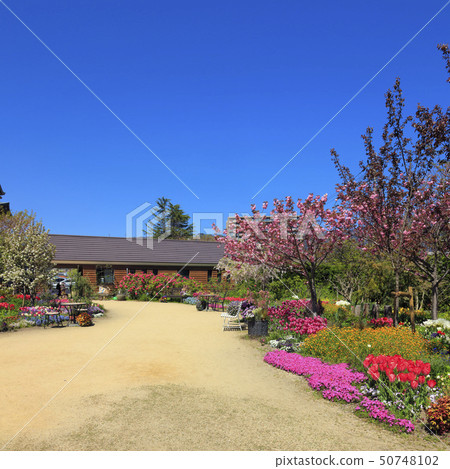 English garden English garden 50748102