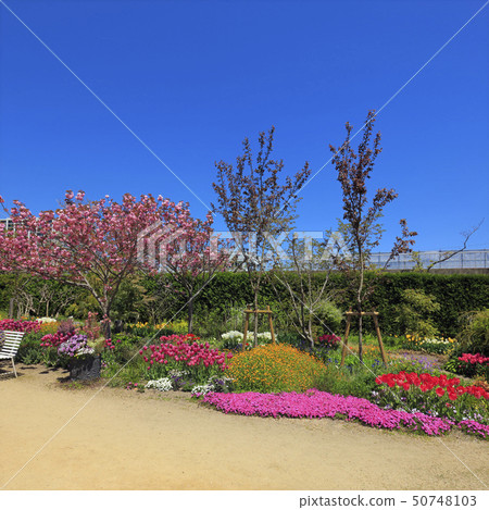 English garden English garden 50748103