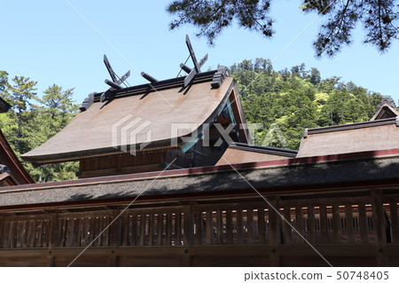 出雲大社主要網站 出雲大社主要網站 50748405