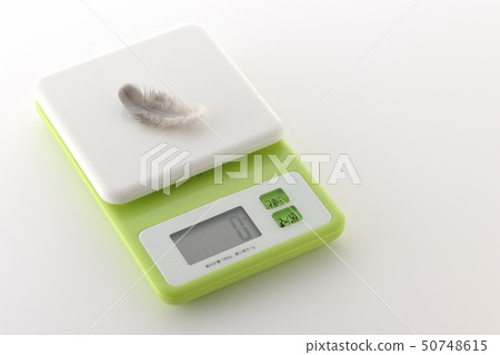 Feather and scale Feather and scale 50748615