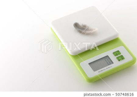 Feather and scale Feather and scale 50748616