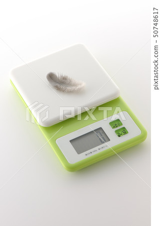 羽毛和規模 50748617