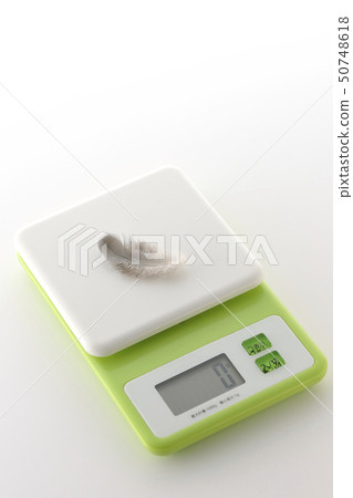 羽毛和規模 50748618