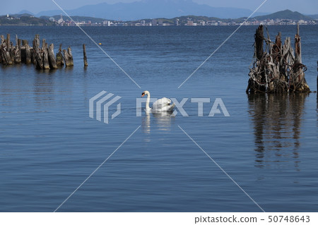 真嗣湖和松江的景觀 真嗣湖和松江的景觀 50748643