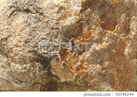 Rough rough skin Rough rough skin 50749244