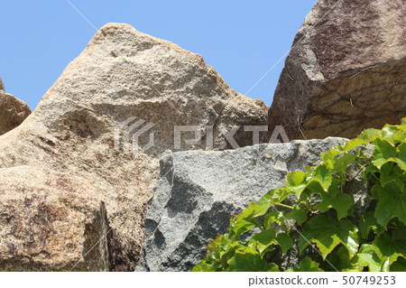 粗糙的皮膚 50749253