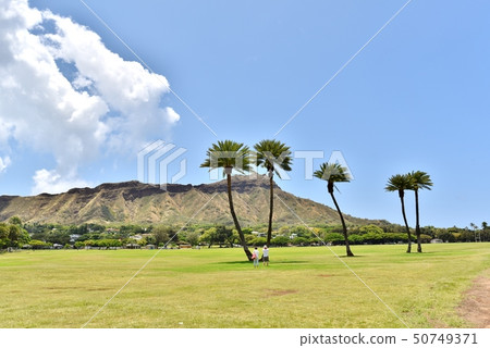 Holidays in Hawaii 50749371