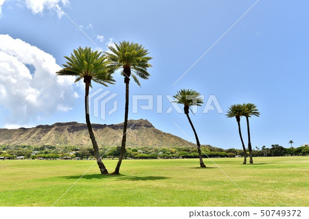 Holidays in Hawaii 50749372