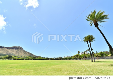 Holidays in Hawaii 50749373