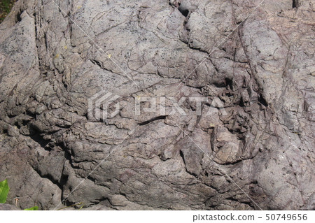 Rough rough skin Rough rough skin 50749656