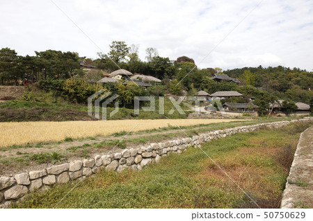 Yangdong Folk Village, Gyeongju City, Gyeongbuk Province 50750629