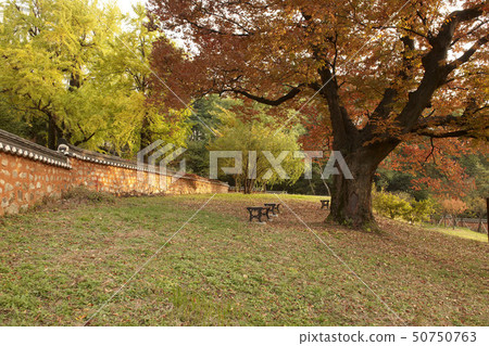 京畿道龍仁市Simsong Seowon 京畿道龍仁市Simsong Seowon 50750763