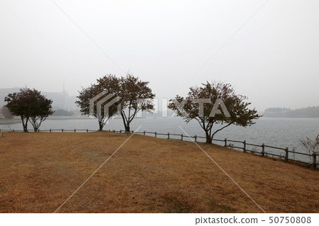 湖公園,一山,高陽市,京畿道 湖公園,一山,高陽市,京畿道 50750808