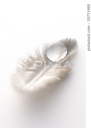 Feather and water Feather and water 50751468