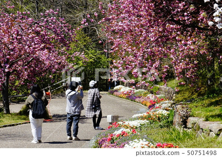 Spring plant park 50751498