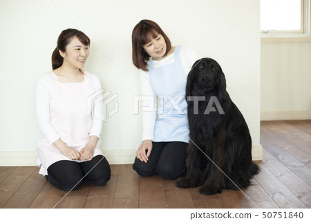 寵物 寵物 50751840