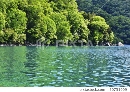 新鮮的綠色湖中禪寺的Chidegahama 新鮮的綠色湖中禪寺的Chidegahama 50751909