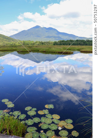 Ozegahara _ Ikeda,Shrimps和Mt. Yodoga _ 7月下旬_垂直 Ozegahara _ Ikeda,Shrimps和Mt. Yodoga _ 7月下旬_垂直 50753297