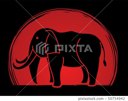 Elephant cartoon graphic vector. Elephant cartoon graphic vector. 50754942
