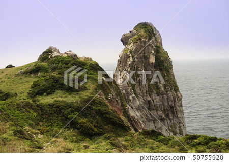 Saruiwa（長崎縣：贊岐市） 50755920