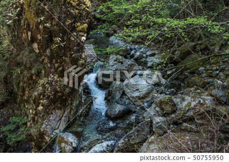 Koshuu mountain Ninotani mountain stream retrogression Koshuu mountain Ninotani mountain stream retrogression 50755950