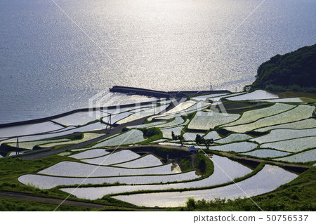 長崎縣美麗的大矢田谷松浦市 50756537