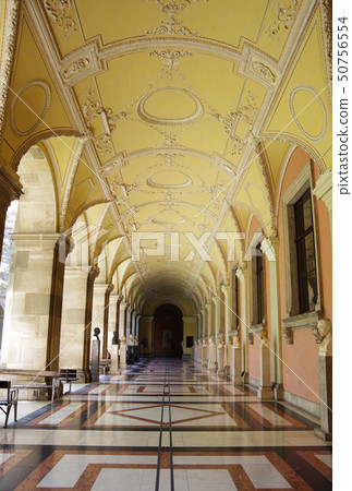 The University of Vienna Alkadenhof Corridor 50756554