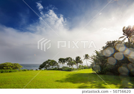 Maui Maui 50756620