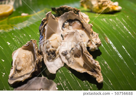 Fresh oyster with lemon. closeup Fresh oyster with lemon. closeup 50756688