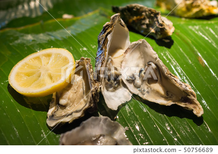 Fresh oyster with lemon. closeup Fresh oyster with lemon. closeup 50756689
