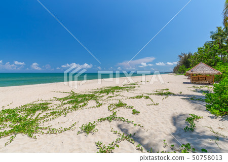 white sand beach , turquoise water and green lush 50758013