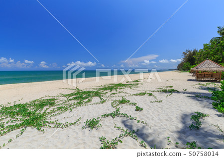 white sand beach , turquoise water and green lush 50758014