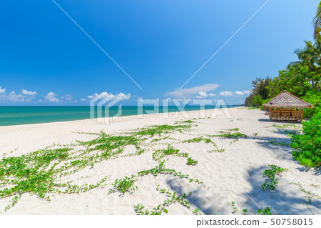 white sand beach , turquoise water and green lush 50758015