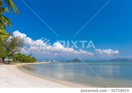 Coconut Palm trees on white sandy beach Coconut Palm trees on white sandy beach 50758024