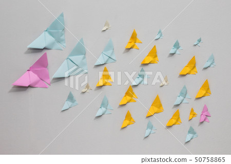 Butterfly paper on the white room wall. Butterfly paper on the white room wall. 50758865