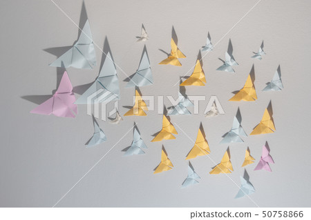 Butterfly paper on the white room wall. Butterfly paper on the white room wall. 50758866