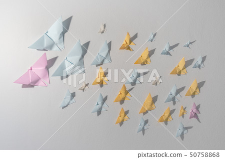Butterfly paper on the white room wall. Butterfly paper on the white room wall. 50758868