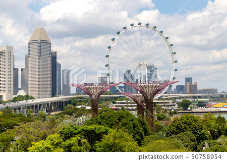 Spur Tree and Singapore Flyer 50758954