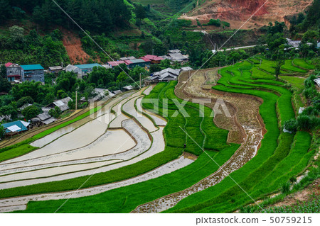 Mountain township with terraced rice field Mountain township with terraced rice field 50759215