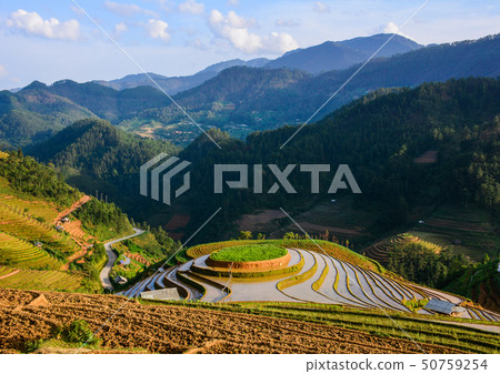 Terraced rice field in Northern Vietnam Terraced rice field in Northern Vietnam 50759254